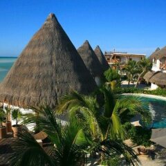 Отель Las Nubes de Holbox с домашними животными