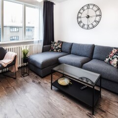 Apartment S30 in Reykjavik, Iceland from 381$, photos, reviews - zenhotels.com photo 3