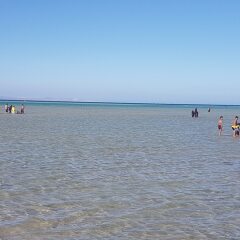 Отель Bella Rose Aqua Park Beach Resort пляж фото 2