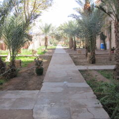 Отель Le Riad Salam Zagora Марокко, Загора - отзывы, цены и фото номеров - забронировать отель Le Riad Salam Zagora онлайн фото 3