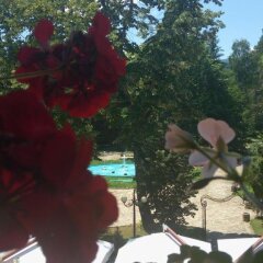Отель Park Hotel Izvorite Болгария, Сливен - отзывы, цены и фото номеров - забронировать отель Park Hotel Izvorite онлайн бассейн