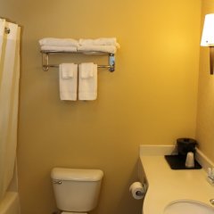 Wingate by Wyndham Dublin Near Claytor Lake State Park in Draper, United States of America from 80$, photos, reviews - zenhotels.com bathroom
