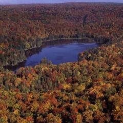 Отель Algonquin Eco-Lodge фото 10