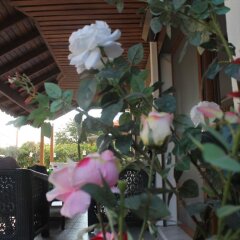 Lila Boutique Hotel Турция, Дикили - отзывы, цены и фото номеров - забронировать отель Lila Boutique Hotel онлайн