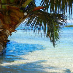 Отель Enjoy Villa Lagoon 4 Французская Полинезия, Папеэте - отзывы, цены и фото номеров - забронировать отель Enjoy Villa Lagoon 4 онлайн пляж фото 2