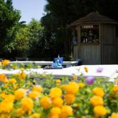 Отель Agua Beach Испания, Пальманова - отзывы, цены и фото номеров - забронировать отель Agua Beach онлайн детские мероприятия фото 2