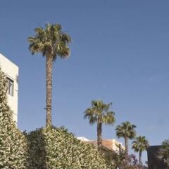 Отель Best Western Royal Palace Inn & Suites США, Лос-Анджелес - отзывы, цены и фото номеров - забронировать отель Best Western Royal Palace Inn & Suites онлайн фото 8