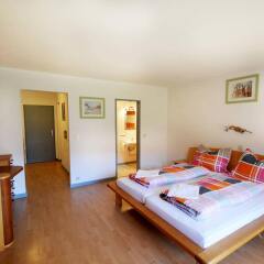Апартаменты Auhof Apartments комната для гостей фото 2