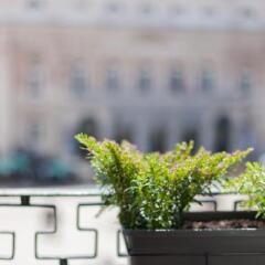 Отель Feels Like Home Rossio Prime Suites бассейн