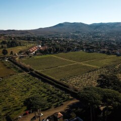 Отель Villa Cavalletti Camere Италия, Гроттаферрата - отзывы, цены и фото номеров - забронировать отель Villa Cavalletti Camere онлайн фото 6