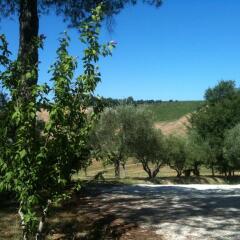 Отель Agriturismo Casale Il Gallo Bianco Озимо фото 7