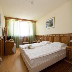 Отель Grand Hotel Aranybika Венгрия, Дебрецен - 8 отзывов об отеле, цены и фото номеров - забронировать отель Grand Hotel Aranybika онлайн комната для гостей фото 5