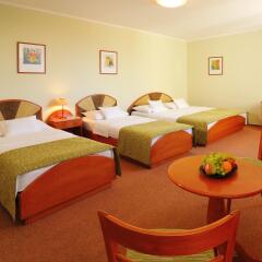 Baross City Hotel детские мероприятия