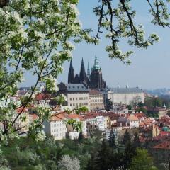 Hotel Pav Прага с домашними животными