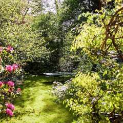 Отель Guest house La Maison Chantecler