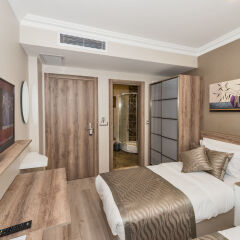 Alphonse Hotel in Istanbul, Turkiye from 66$, photos, reviews - zenhotels.com guestroom photo 4