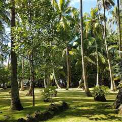 Отель Motu Mapeti - Tahiti Private Island фото 13