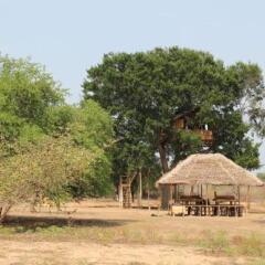 Отель Yala Dream Park Шри-Ланка, Тиссамахарама - отзывы, цены и фото номеров - забронировать отель Yala Dream Park онлайн фото 14