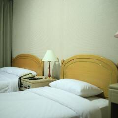 Brown Tourist Hotel комната для гостей фото 2
