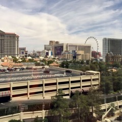 Отель GetAways at Jockey Club США, Лас-Вегас - отзывы, цены и фото номеров - забронировать отель GetAways at Jockey Club онлайн фото 2