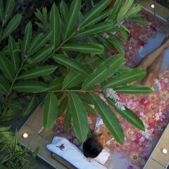 Отель Le Taha'a Island Resort & Spa фото 7