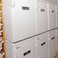 Отель City Backpackers Apartments Швеция, Стокгольм - отзывы, цены и фото номеров - забронировать отель City Backpackers Apartments онлайн сейф в номере