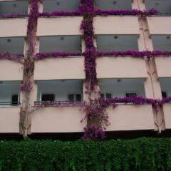Orkide Hotel