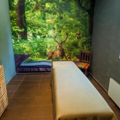 Отель Snezhanka Болгария, Пампорово - отзывы, цены и фото номеров - забронировать отель Snezhanka онлайн фото 4