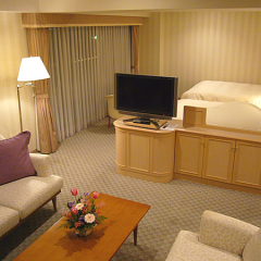 Sajima Marina Hotel комната для гостей