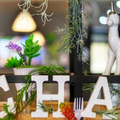 Отель Cha Cha Cha Hostel Таиланд, Паттайя - отзывы, цены и фото номеров - забронировать отель Cha Cha Cha Hostel онлайн питание фото 2