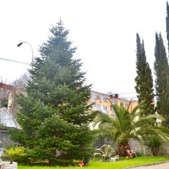 Гостиница Guest House Usadba