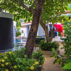 Отель Asena Karon Resort