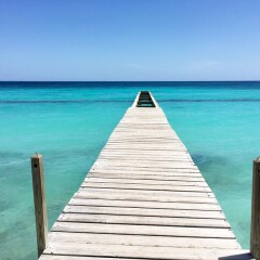 Отель Dreams Dominicus La Romana All Inclusive фото 4