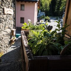 Отель B&B Il Girasole Италия, Аоста - отзывы, цены и фото номеров - забронировать отель B&B Il Girasole онлайн
