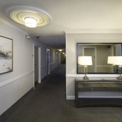 Отель Bethesda Court Hotel США, Бетесда - отзывы, цены и фото номеров - забронировать отель Bethesda Court Hotel онлайн фото 3