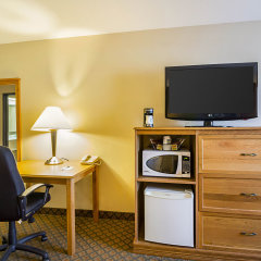 Quality Inn Saint Cloud in St. Cloud, United States of America from 166$, photos, reviews - zenhotels.com room amenities photo 2