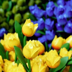 Отель Novotel Amsterdam Schiphol Airport Нидерланды, Хофддорп - 1 отзыв об отеле, цены и фото номеров - забронировать отель Novotel Amsterdam Schiphol Airport онлайн фото 3