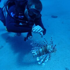 Гостевой Дом Neptun Dive Resort спортивное сооружение