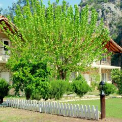 Гостевой Дом Dionysos Lodge фото 6