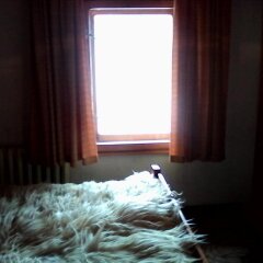 Отель Chapov Guest Rooms Болгария, Смолян - отзывы, цены и фото номеров - забронировать отель Chapov Guest Rooms онлайн комната для гостей фото 5