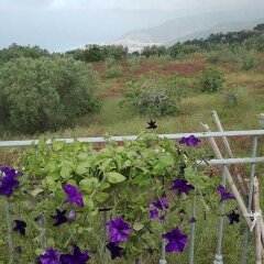 Отель Agriturismo U Cannatiallu Амантея балкон