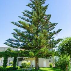 Отель Villa Mare Monte ApartHotel фото 13