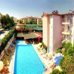 Dynasty Hotel с домашними животными