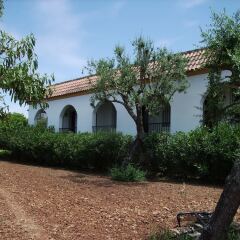 Отель Finca La Luz Bed & Breakfast фото 5