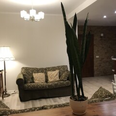 Гостиница Minsk Apartment 1 Беларусь, Минск - отзывы, цены и фото номеров - забронировать гостиницу Minsk Apartment 1 онлайн комната для гостей