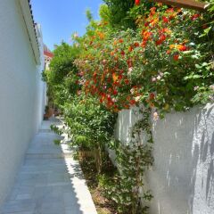 Отель Traditional res next to Acropolis фото 3