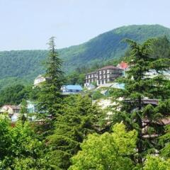 Гостевой Дом Арлиан фото 2