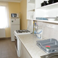 Апартаменты Apartment Buda Central Residence в номере фото 2