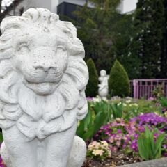 Отель Villa Waldperlach Германия, Мюнхен - отзывы, цены и фото номеров - забронировать отель Villa Waldperlach онлайн фото 6