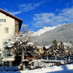 Отель Albergo Trentino фото 6